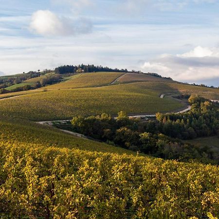 格雷扎纳 Ca' Del Moro Wine Retreat酒店 外观 照片